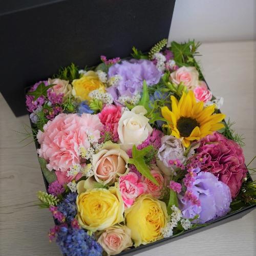 �J���t���{�b�N�X�t�����[M�T�C�Y2