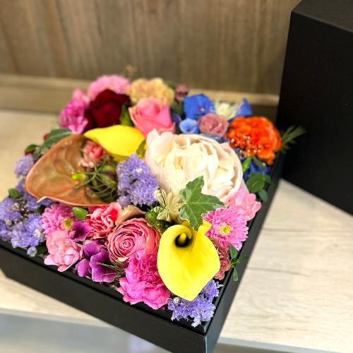 �J���t���{�b�N�X�t�����[M�T�C�Y4