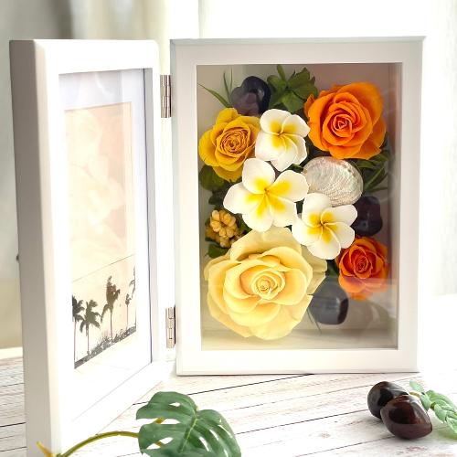 �n���C�A���v�������A�C�G���[�t�H�g�t���[��