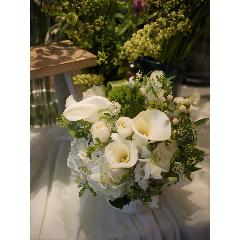 ���܂����A�����WS�z���C�g�n�@��