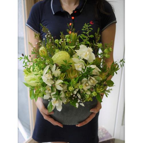 �O���[���n�M�`�A�����W2