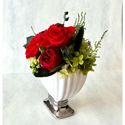 �v���U�[�u�h�t�����[�@���[�j���x�[�X�A�����W3