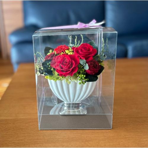 �v���U�[�u�h�t�����[�@���[�j���x�[�X�A�����W7