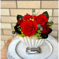 �v���U�[�u�h�t�����[�@���[�j���x�[�X�A�����W