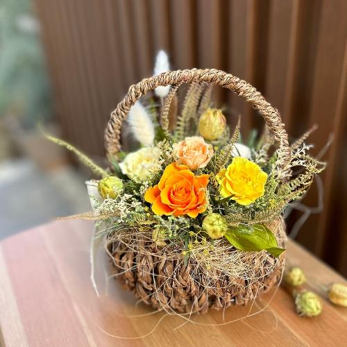 �v���U�[�u�h�t�����[�@�K�[�f���o�X�P�b�g�A�����W