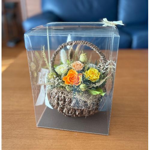 �v���U�[�u�h�t�����[�@�K�[�f���o�X�P�b�g�A�����W7