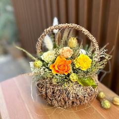 �v���U�[�u�h�t�����[�@�K�[�f���o�X�P�b�g�A�����W
