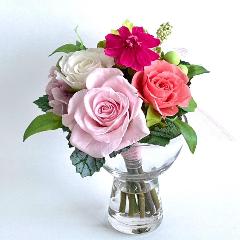 �v���U�[�u�h�t�����[ �A�N�AS�s���N�n�@�ԕr�t���u�[�P�@