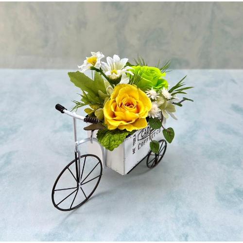 �v���U�[�u�h�t�����[�v�`�J�[�g�C�G���[3