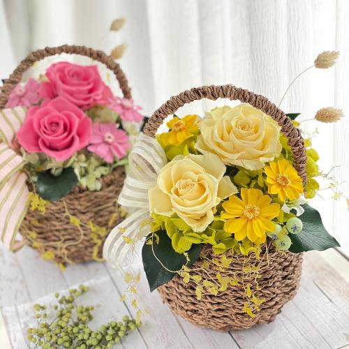�C�G���[�t�����[�o�X�P�b�g
