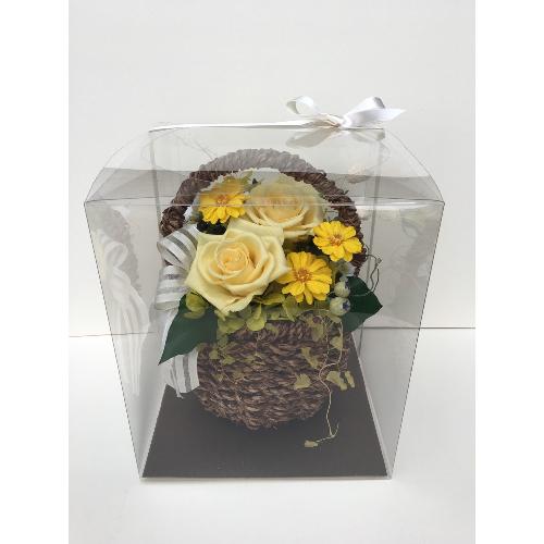 �C�G���[�t�����[�o�X�P�b�g4