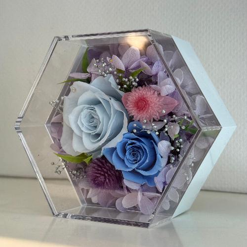 �v���U�[�u�h�t�����[�@�t�F���[�`�F�@�A�N�����@�u���[2