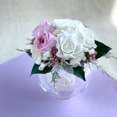 �v���U�[�u�h�t�����[���C��