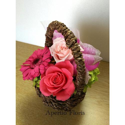 �t�����[�o�X�P�b�g���s���N2