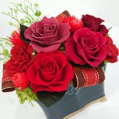 �p���e�[�����b�h