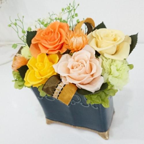 �p���e�[���C�G���[