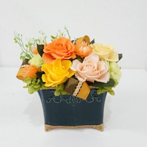 �p���e�[���C�G���[3