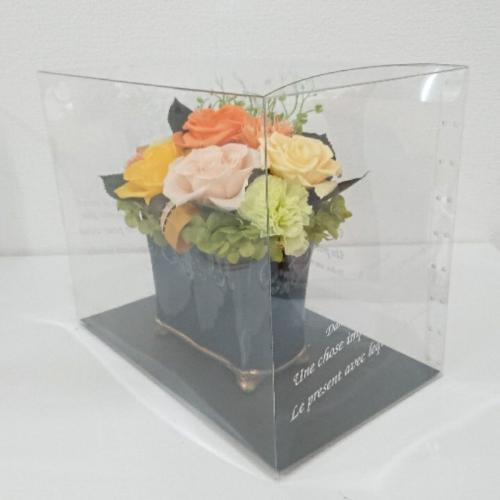 �p���e�[���C�G���[7