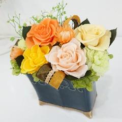 �p���e�[���C�G���[