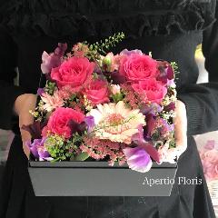 �s���N�̃{�b�N�X�t�����[M�T�C�Y