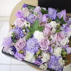 �p�[�v���̃{�b�N�X�t�����[M�T�C�Y