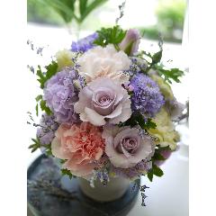 ���܂����~�j�A�����WS�p�[�v���n