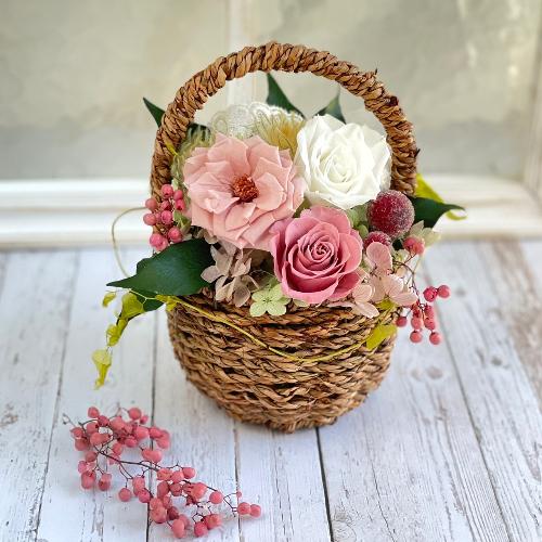 �v���U�[�u�h�t�����[ ���A�i�@�J�S��