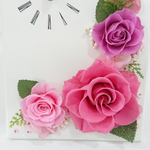 �v���U�[�u�h�t�����[ �X�N�G�A�^���vM �s���N4