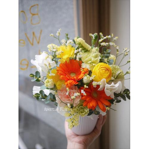 ���܂����~�j�A�����WS�C�G���[�n