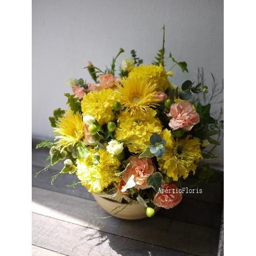 ���܂����~�j�A�����WS�C�G���[�n2