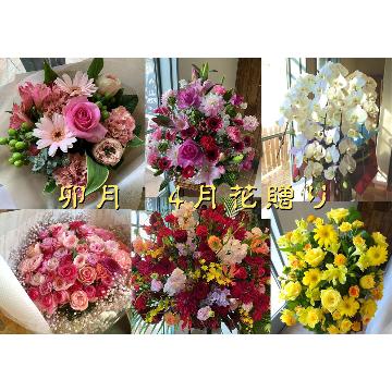�X�^�b�t�摜