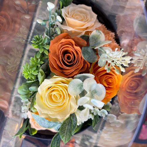 �y�V���{���t�����[�z�I�����W�n�[�t�N���ABOX4