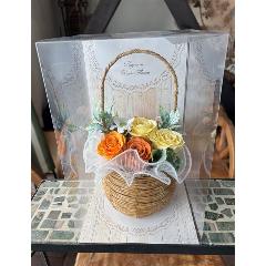 �y�V���{���t�����[�z�I�����W�C�G���[�o�X�P�b�g