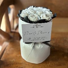 �y�V���{���t�����[�z�G���K���g�X�^���h�u�[�P�F�z���C�g