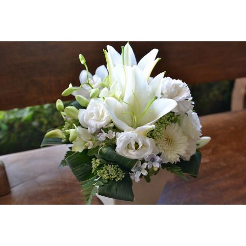 �y�A�����W�����g�z �z���C�g�t�����[