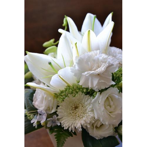 �y�A�����W�����g�z �z���C�g�t�����[3