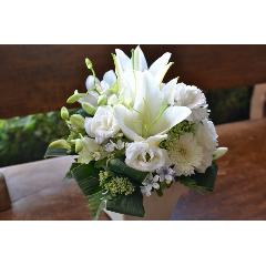 �y�A�����W�����g�z �z���C�g�t�����[