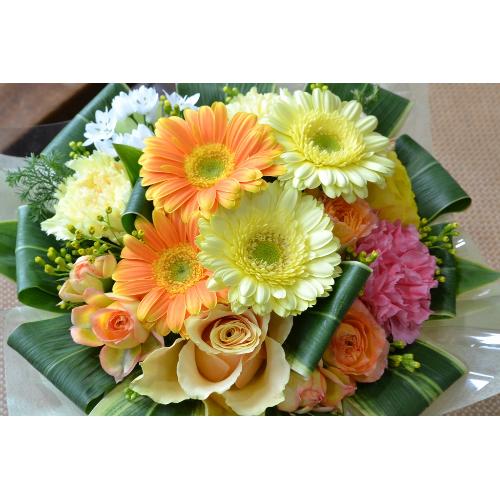 �y�A�����W�����g�z �r�^�~���J���[�̃A�����W�����g2
