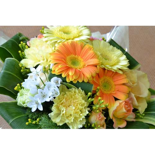 �y�A�����W�����g�z �r�^�~���J���[�̃A�����W�����g3