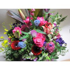 �X�����C�ɓ��聙�A�����W��s���N�p���T�|