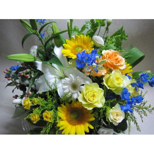 �������a�������A�����W�C�G��-3
