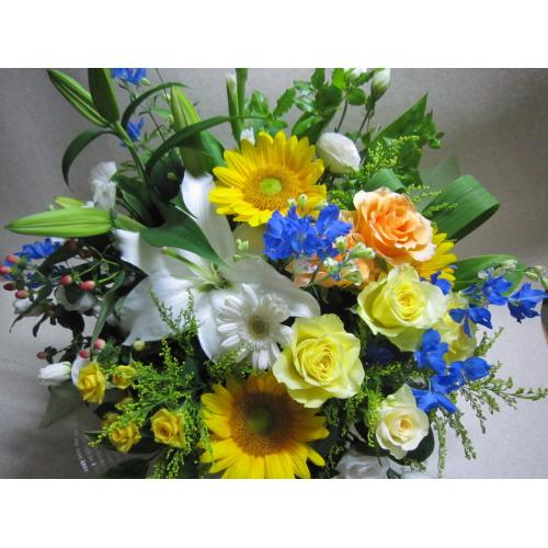 �������a�������A�����W�C�G��-5