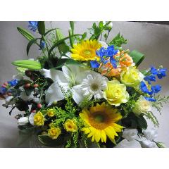 �������a�������A�����W�C�G��-