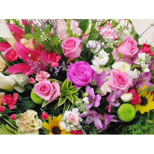 �m���������A�����W���N���|��1