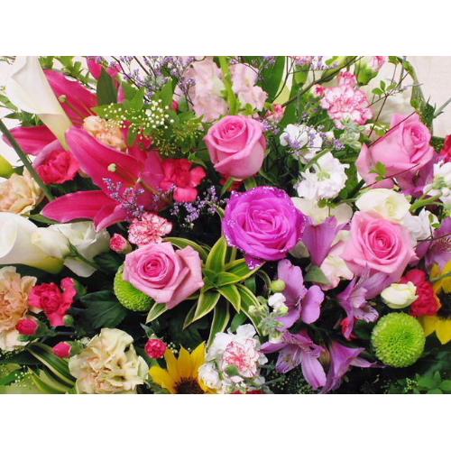 �m���������A�����W���N���|��2