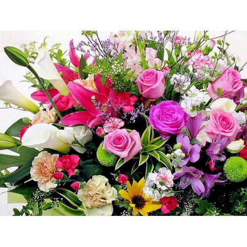 �m���������A�����W���N���|��4