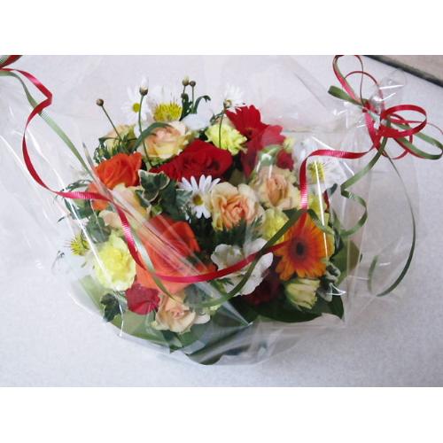 �L���|�e�B�\���A�����W��