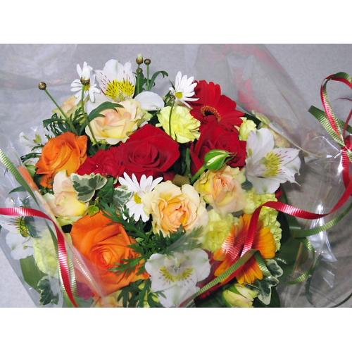 �L���|�e�B�\���A�����W��4