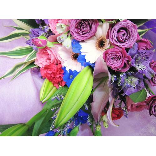 �T�}�|���X�y�V�����u�|�P��2