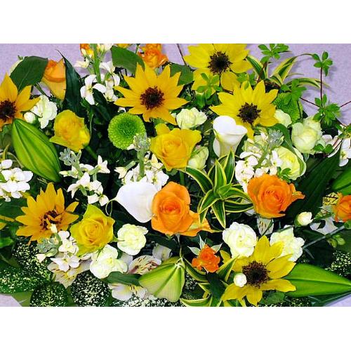 ���Ă��ʂ遚�X���������߃A�����W!!